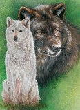 by Barbara Keith