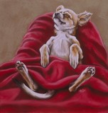 by Barbara Keith