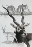 by Barbara Keith