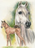 by Barbara Keith