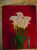 by diana saucedo