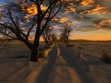 by Michael Bozenicar