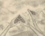 by Julianna Ziegler