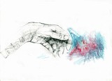 by Anca Sandu