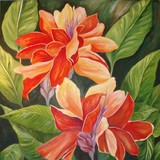 by Jacklyn Balestrino