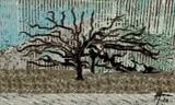 by Maria Anna Machado