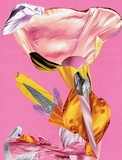 by Collage Art