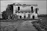 by giuseppe dibenedetto