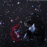 by Styx Parker