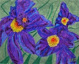 by Linda Hawkins