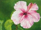 by Kathy Schoeppner