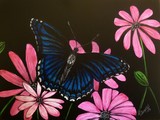by Jennifer Jeffris