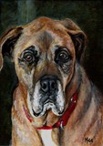 by Mary-Lee Sanders