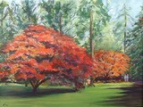 by Robin Woodford