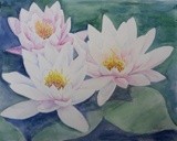 by Patricia Elgee