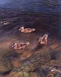 by Emilio Bandera