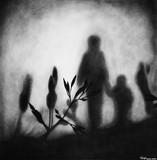 by Rupesh Patric