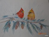 by Joanie Holliday