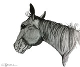 by Claire Budden