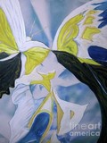 by Duygu Kivanc