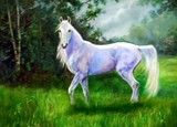 by Sharon Coyle