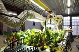 by PlantBot Genetics