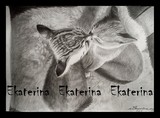 by Katya Wentz