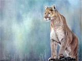 by Ziya Eris