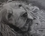 by Ludmila Turner