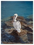 by Jeremy Reed