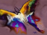 by Tammy Sheppard