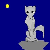 by Moon Light