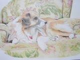 by Catherine Sandell