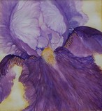 by ANNA DOVIAK