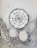 by Angella Reynolds-Screen