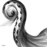 by Damla Kazar