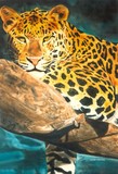 by Leslie Carty
