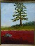 by c.s. viator