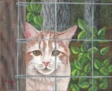 by Kathleen Brake