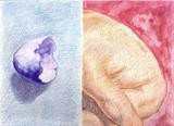 by Sarina Renee