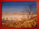 by Gayle Taylor