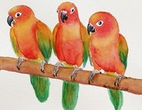 by Nancy Woolweber