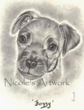 by Nicole Roy