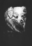 by Anne Kelty