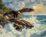 by Mark Peterson