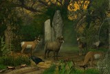 by Waldo  Dessa