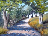 by Fiona Hooper
