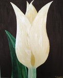 by Tracy Longley
