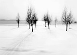 by Robert Elfferich