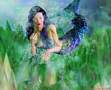 by Heidi Olson